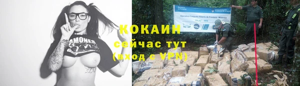 гашиш Ельня