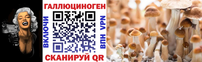 Купить где  Донецк  Псилоцибиновые грибы мухоморы 